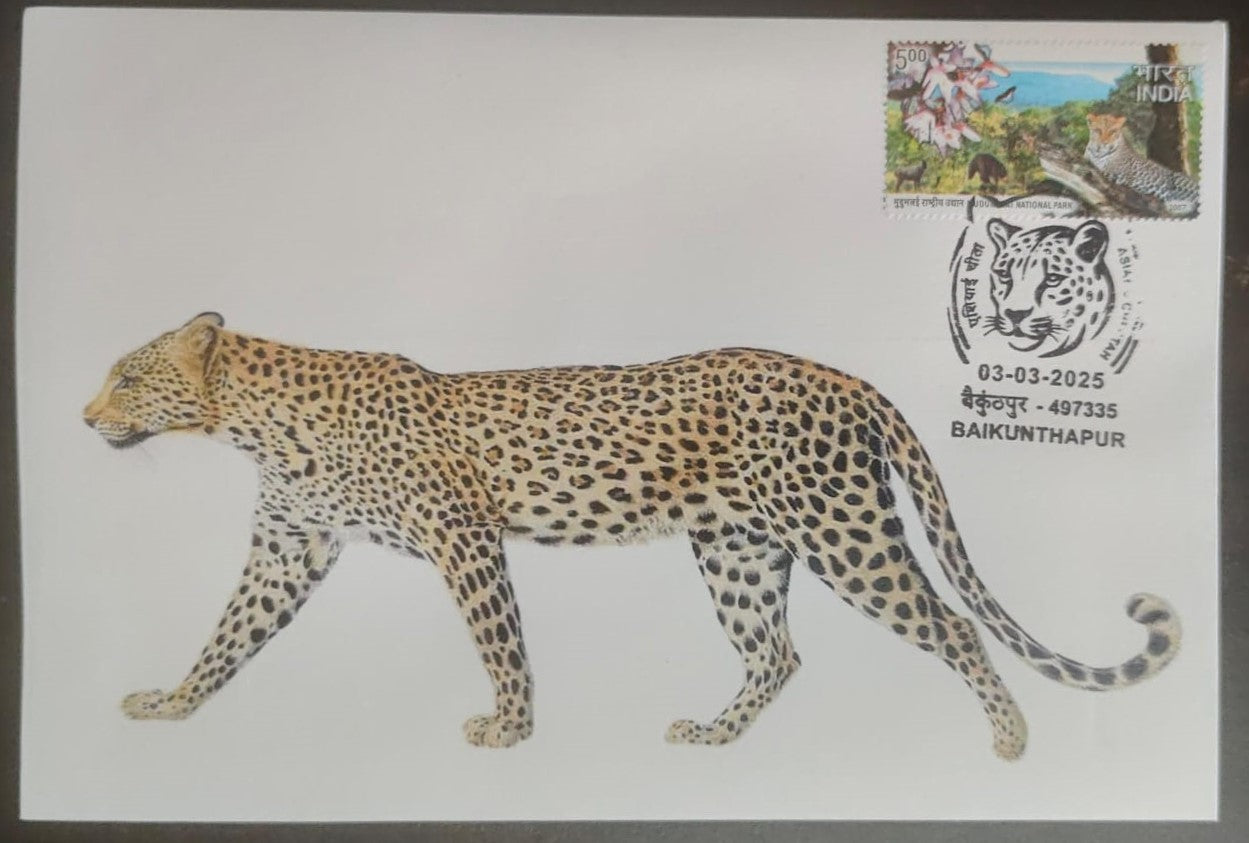 Inauguration day Permanent Pictorial cancellation Asiatic Cheetah issued from Baikunthapur  (CG) on private cover