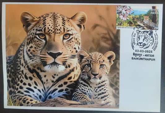 Inauguration day Permanent Pictorial cancellation Asiatic Cheetah issued from Baikunthapur  (CG) on private cover