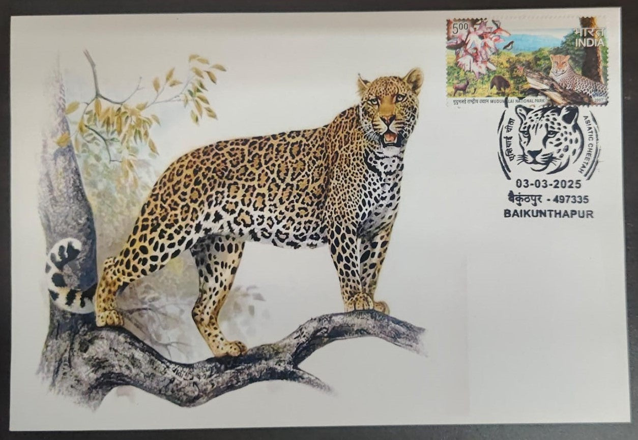 Inauguration day Permanent Pictorial cancellation Asiatic Cheetah issued from Baikunthapur  (CG) on private cover