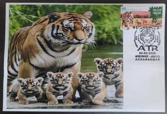 Inauguration day Permanent Pictorial cancellation Tiger  issued from Achanakmar (CG) on private cover