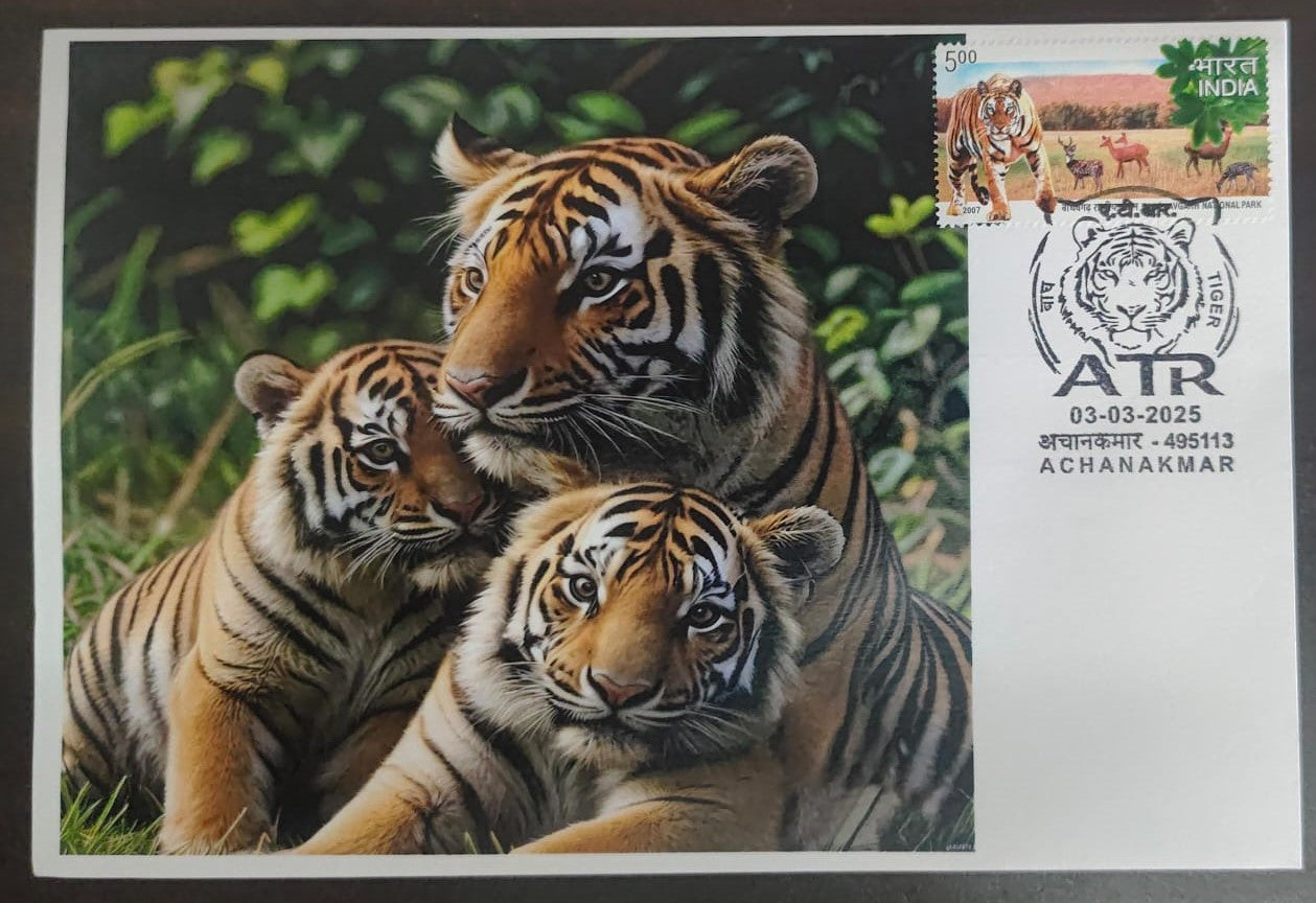 Inauguration day Permanent Pictorial cancellation Tiger  issued from Achanakmar (CG) on private cover