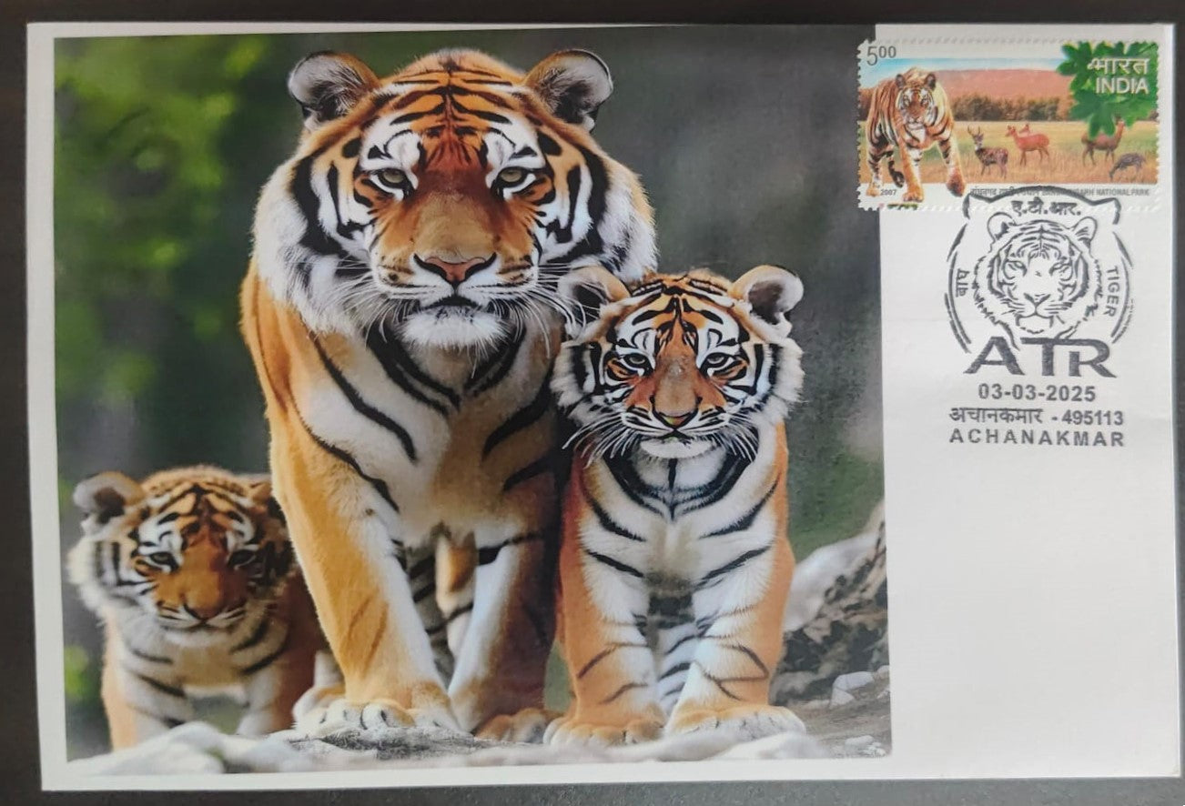Inauguration day Permanent Pictorial cancellation Tiger  issued from Achanakmar (CG) on private cover