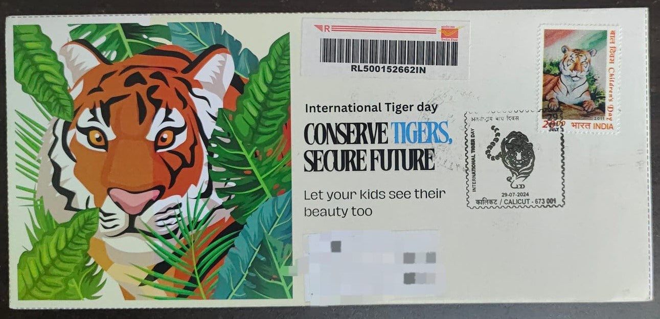 Tiger day 🐅 Special cancellation- 29.7.24. On private cover designed by bharatexotics,  Travelled and cancelled from Calicut.