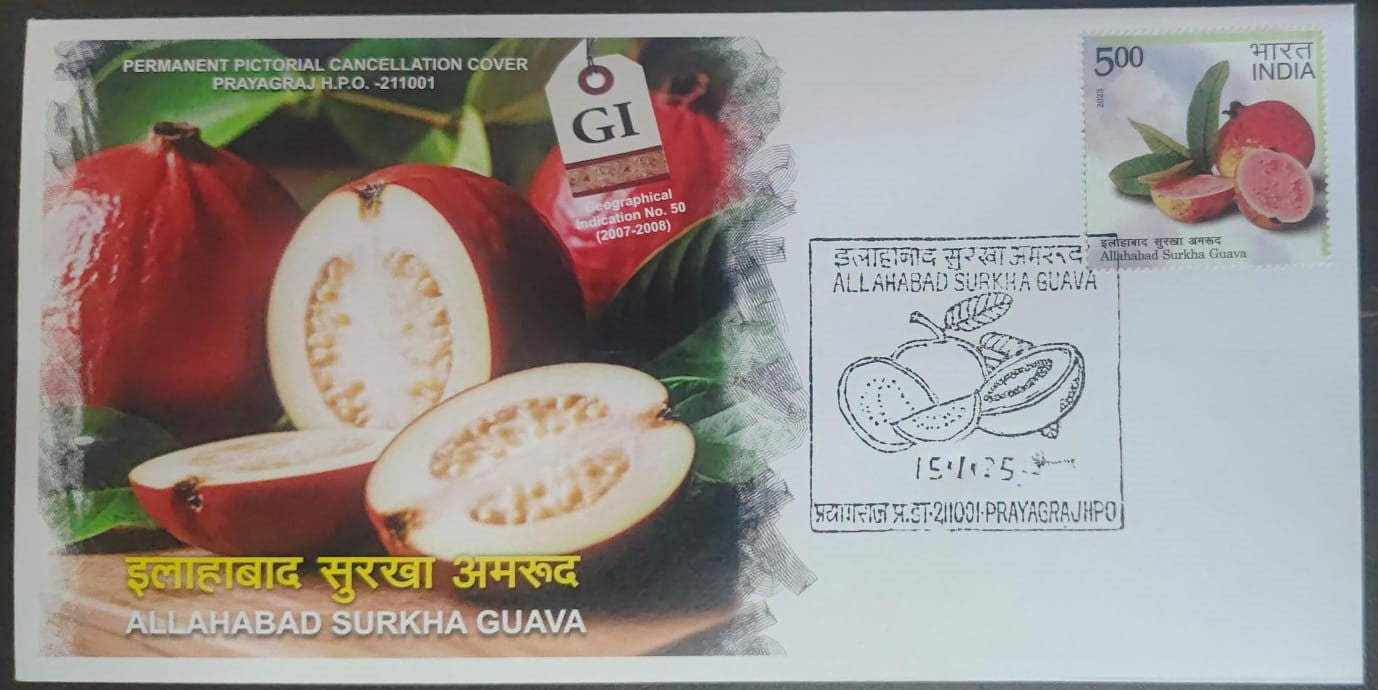 Allahabad Surkha Guava Inauguration Day Permanent Pictorial Cancellation cover cancelled at Prayagrajh HPO with Matching Stamp