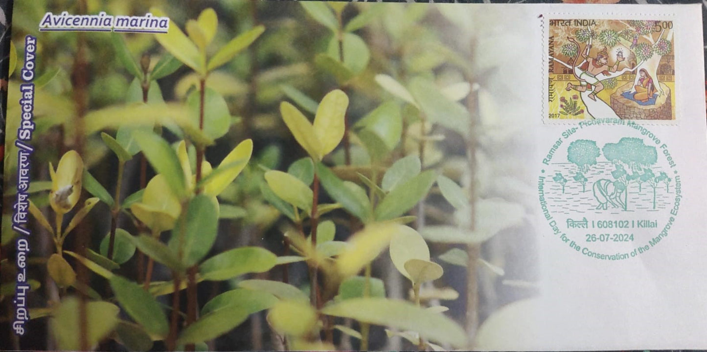 Special cover on conservation of Pichavaram Mangrove forest, issued by TN postal Circle.