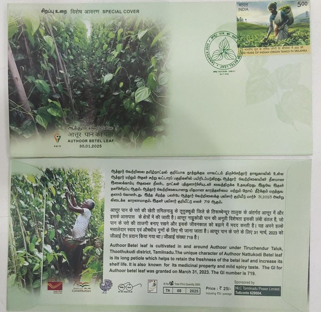 TN GI tag cover on Authoor Beetle 🌿 leaf