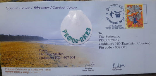 Drone carried cover with a piece of sea shell affixed