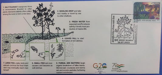 International day for conservation of mangrove ecosystem - special cancellation on private cover with related matching stamp.