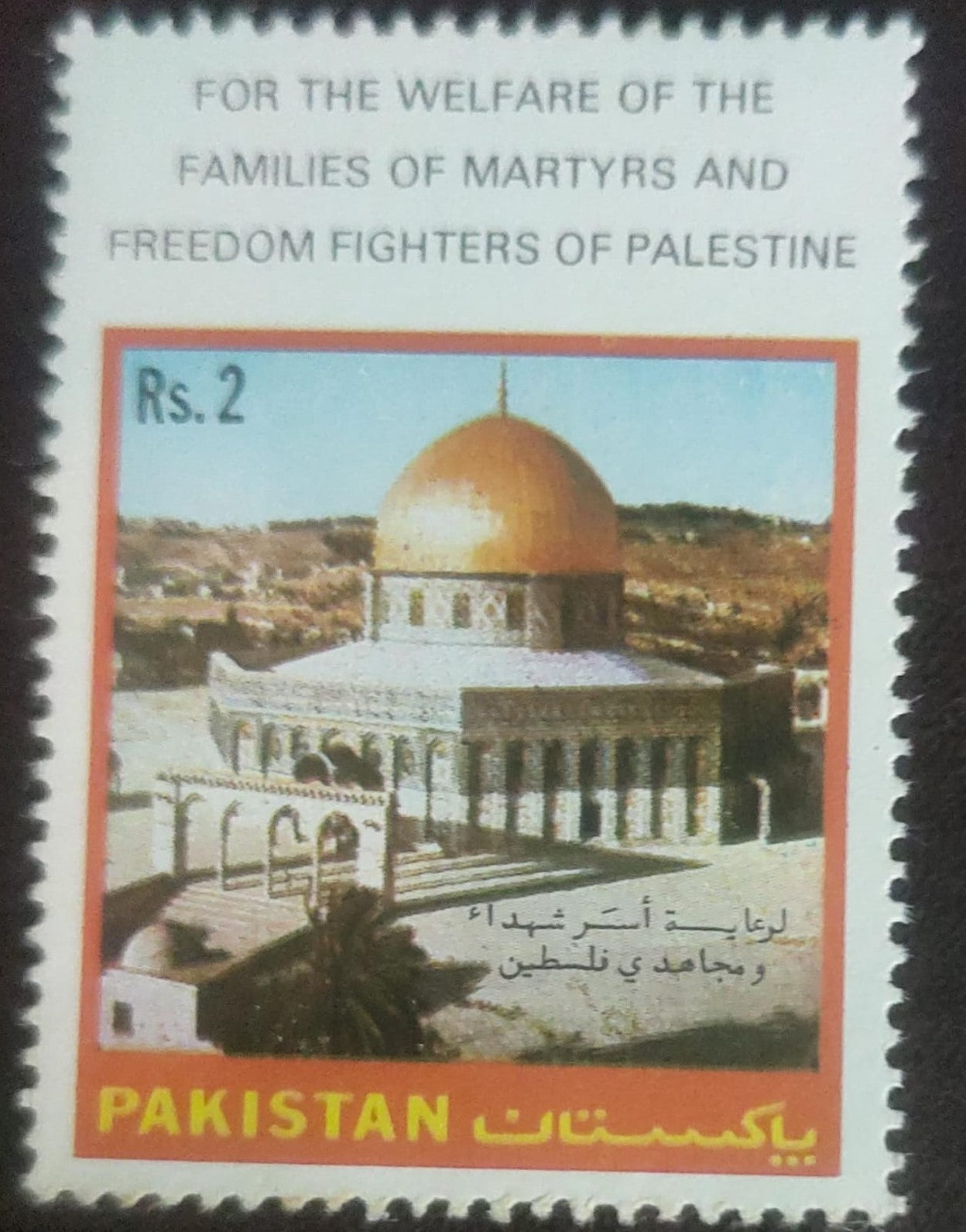 Pakistan - for the welfare of families and martyrs and freedom fighters of Palestine   Mint