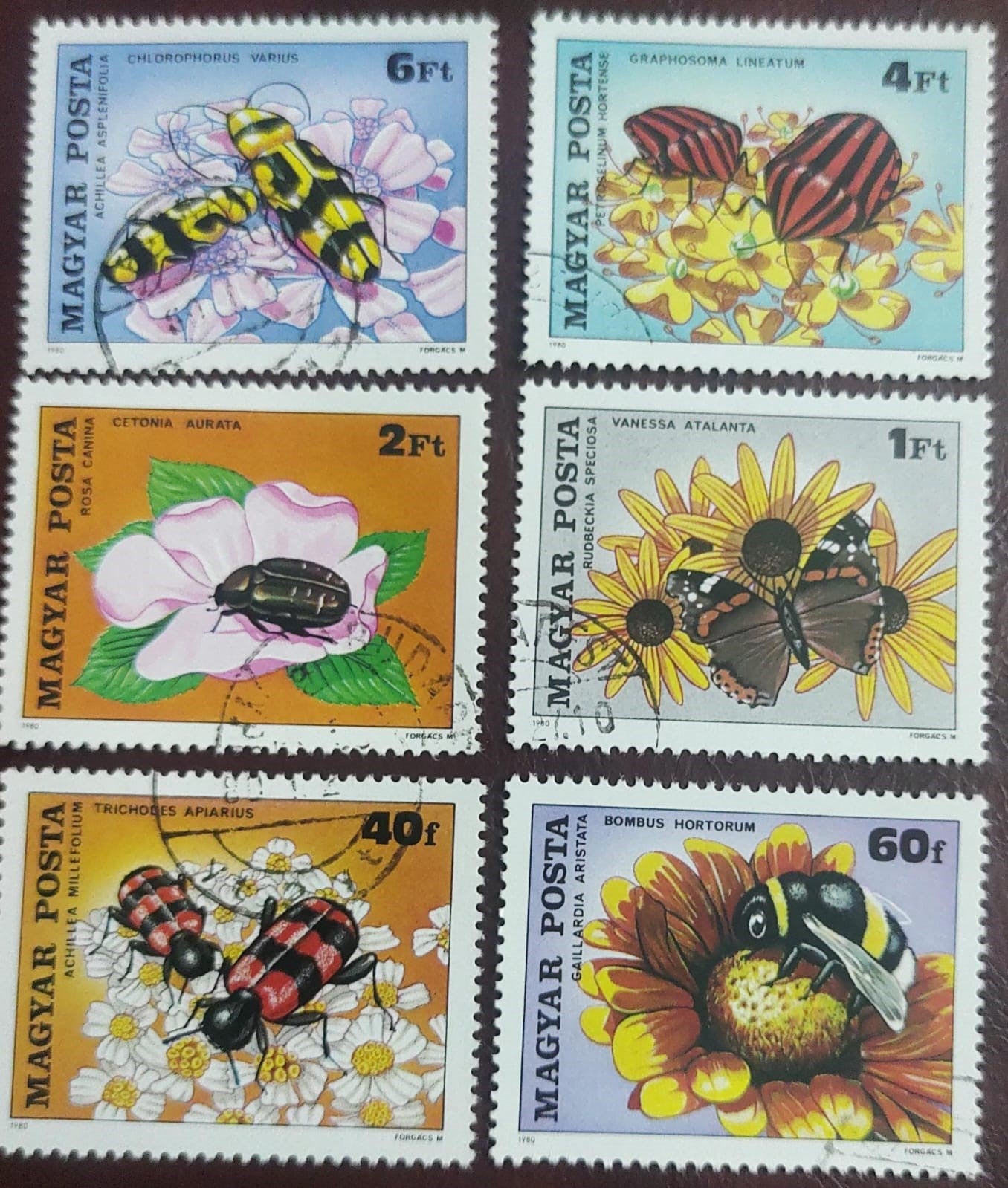 Hungary 6 beautiful stamps on beetles and insects.Cancelled