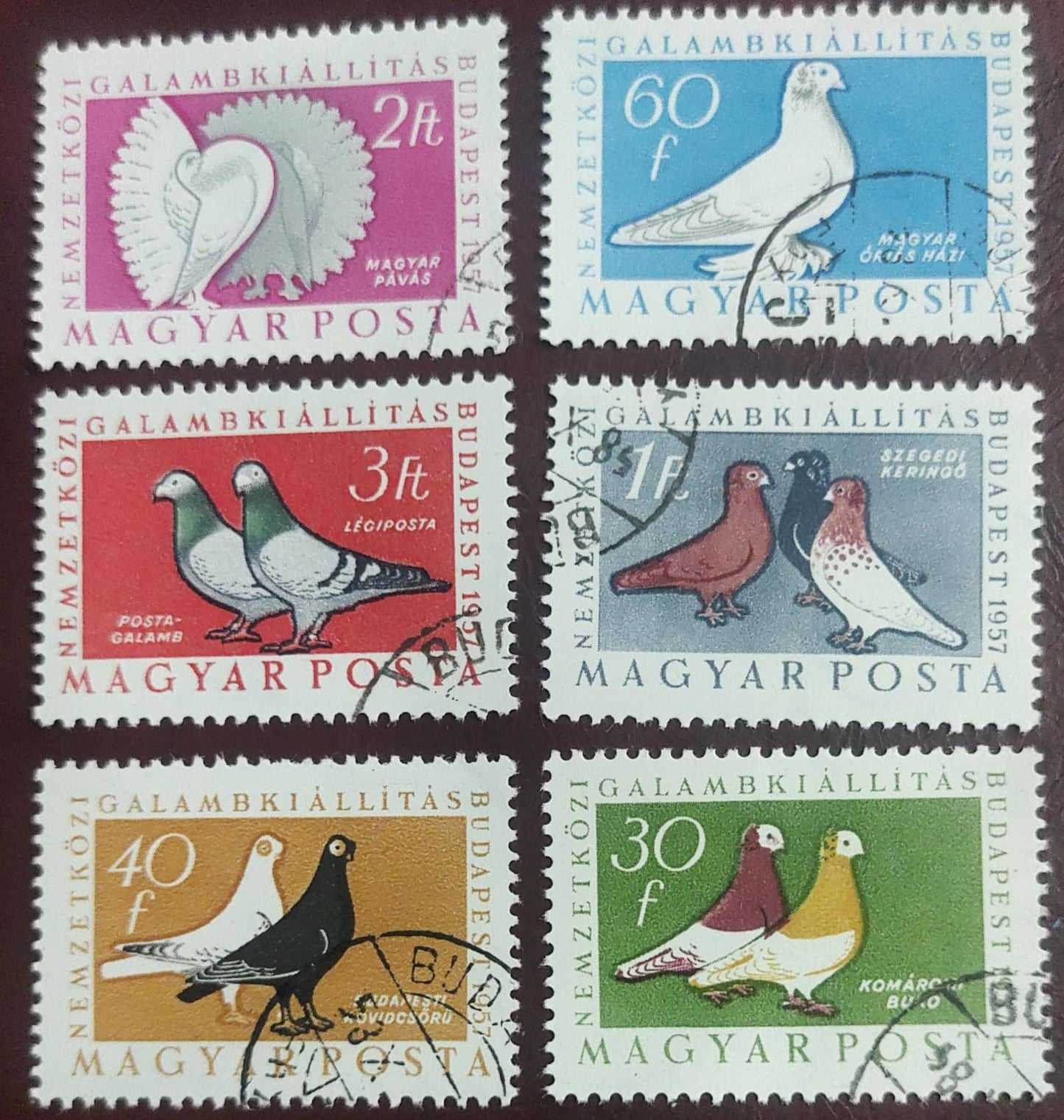 Hungary 6 beautiful cancelled stamps on pigeons  🐦