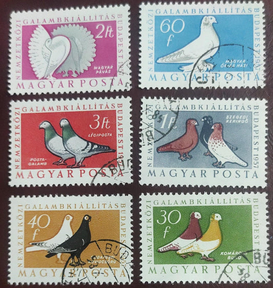 Hungary 6 beautiful cancelled stamps on pigeons  🐦