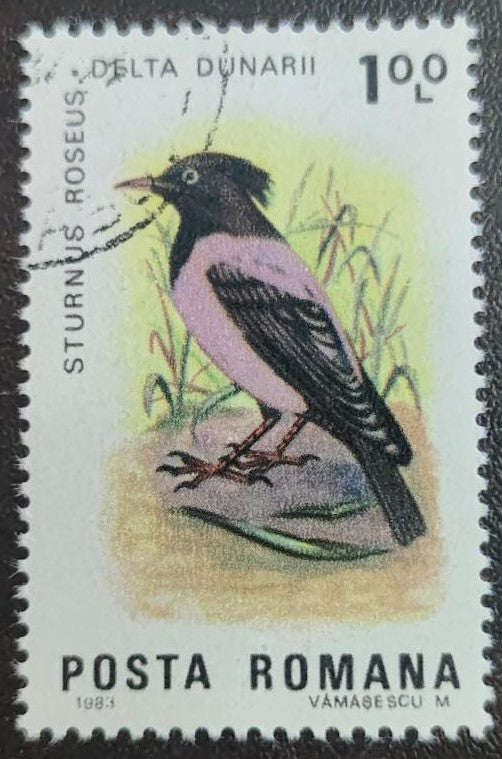 Romania cancelled stamp on Bird