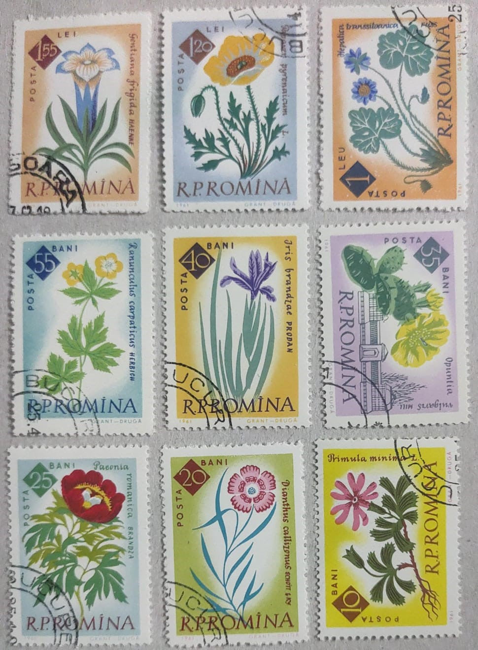 Romania 9 beautiful cancelled stamps on different flowers.  🌺🌸💐🪷🌸🌼🌻