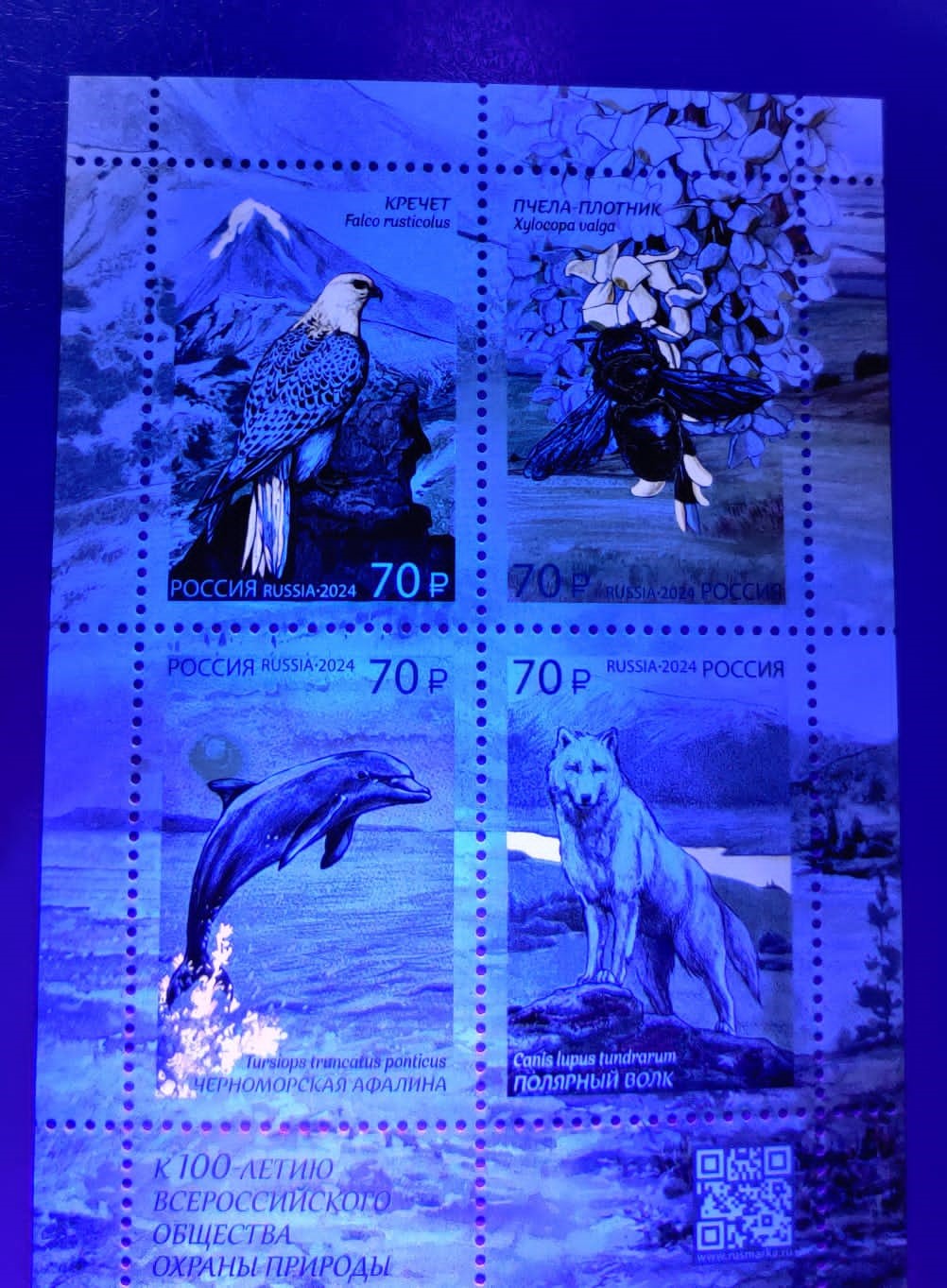 Russia UV glow   Beautiful ms with 4 different animals stamps.