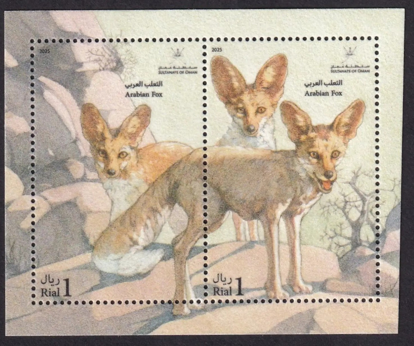 2025 Oman Arabian Fox  Unusual Miniature Sheet
