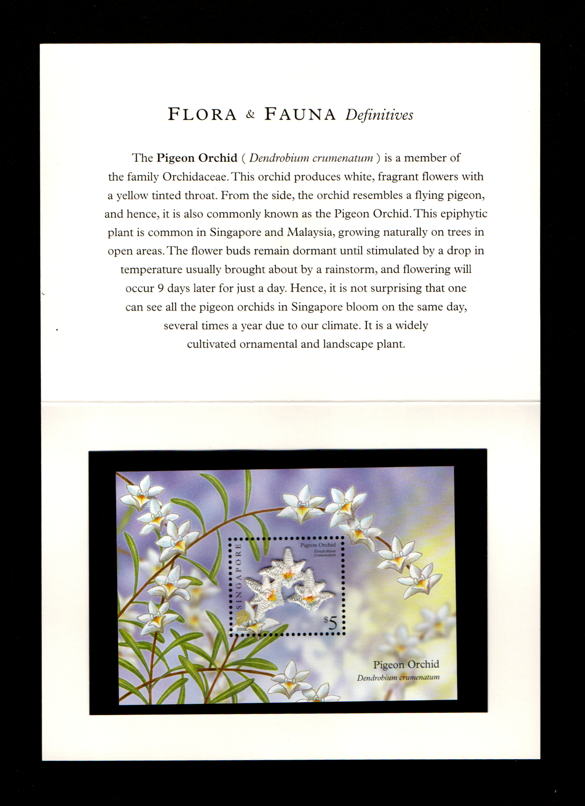Singapore 2009 – Embroidery on miniature sheet – Pigeon Orchid beautiful MS in folder