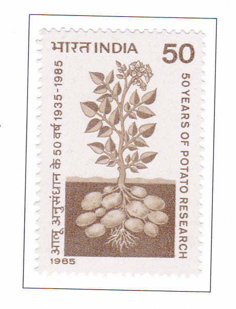 India Mint-1985 50th Anniversary of Potato Research in India.