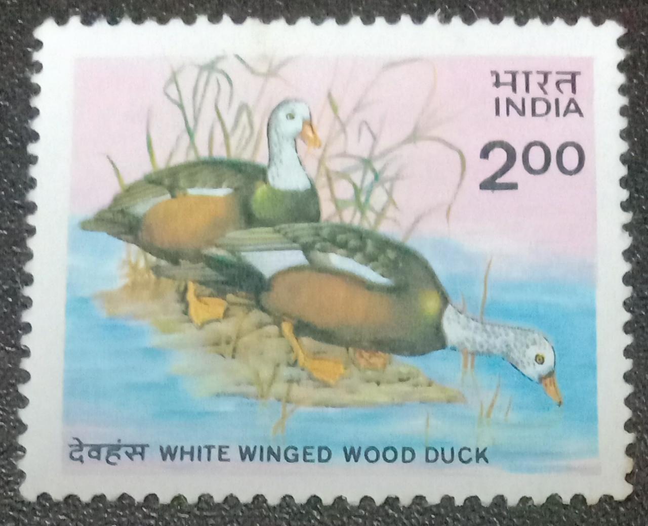 India Mint-1985 Wildlife Conservation -White Winged Wood Duck.