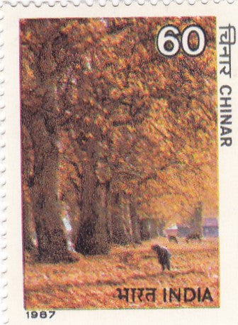 भारत टकसाल-19 अक्टूबर'87 भारतीय पेड़।