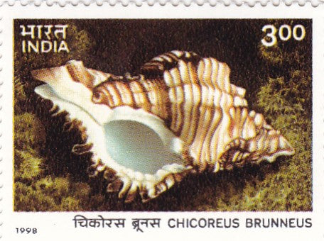 India mint- 30 Dec '98-set of 4- International Year of the Ocean(Seashells of Andaman& Nicobar Islands)