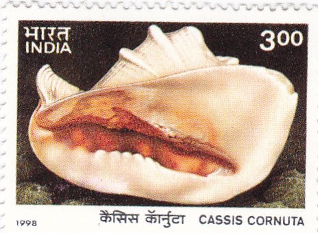 भारत टकसाल- 30 दिसंबर '98-4 का सेट- महासागर का अंतर्राष्ट्रीय वर्ष (अंडमान और निकोबार द्वीप समूह के समुद्री तट)
