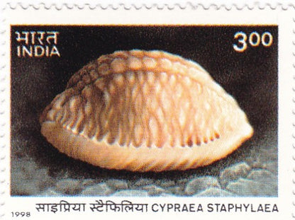 India mint- 30 Dec '98-set of 4- International Year of the Ocean(Seashells of Andaman& Nicobar Islands)