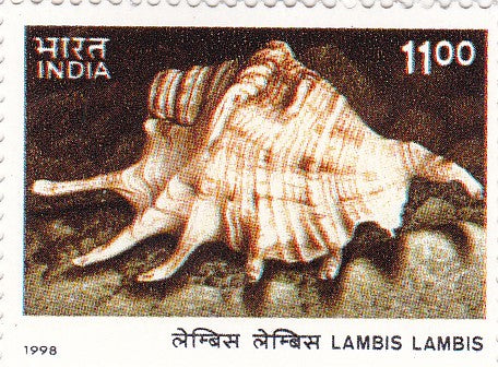 India mint- 30 Dec '98-set of 4- International Year of the Ocean(Seashells of Andaman& Nicobar Islands)