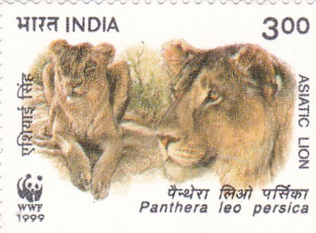 India mint- 04 Oct'1999 Endangered Species-Asiatic Lion - Lionesses