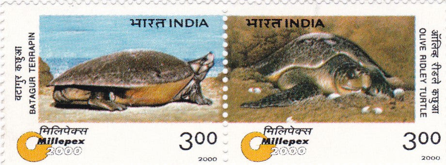 India mint-29 Jan.'00 "Millepex 2000" National Philatelic Exhibition,Bhubaneswar. Setenant horizontal Pair