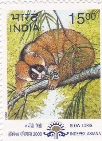 India-Mint 2000 Asian International Stamp Exhibition Calcutta.