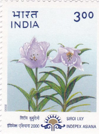 India mint-23  Mar.'00 "Inepex-Asiana 2000",14th Asian International Stamp Exibition,Calcutta