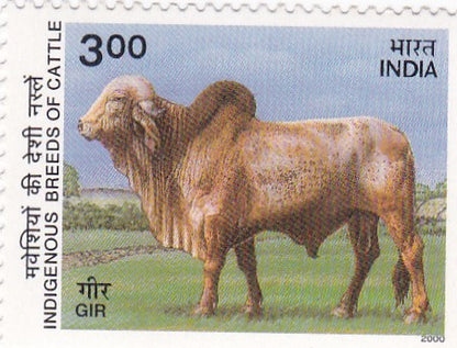 India mint-25  Apr.'00 Indigenous Breeds  of Cattle