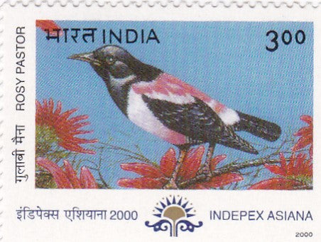 India mint-24 May.'00 Indepex-Asiana 2000",14th Asian International Stamp Exhibition Calcutta.Migratory Birds(Rosy Pastor)