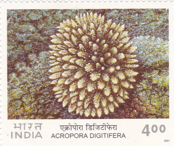 India Mint-2001 Corals of India