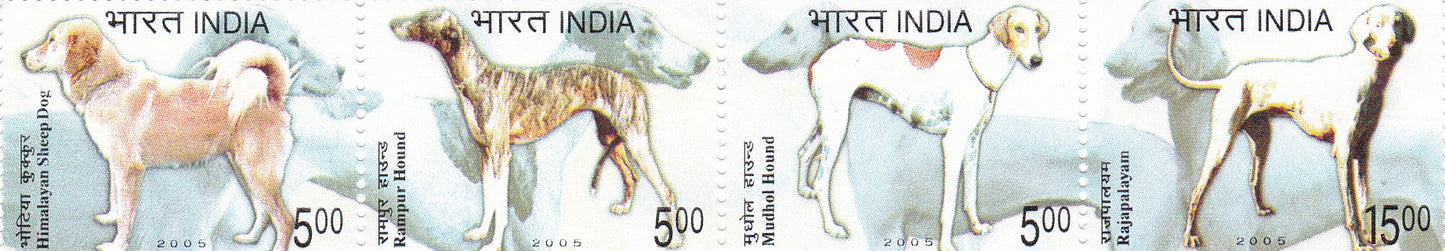India mint-09 Jan'.05 Breeds of Dogs