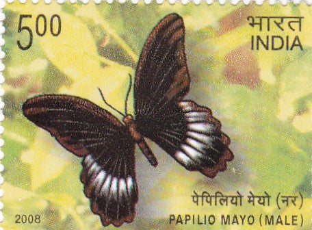 India mint-02 Jan'.08 Endemic Butterflies of Andaman and Nicobar Islands-set of 4 stamps