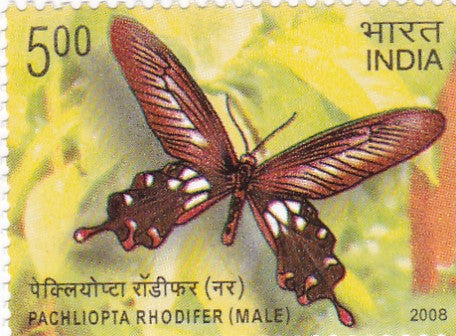 India mint-02 Jan'.08 Endemic Butterflies of Andaman and Nicobar Islands-set of 4 stamps