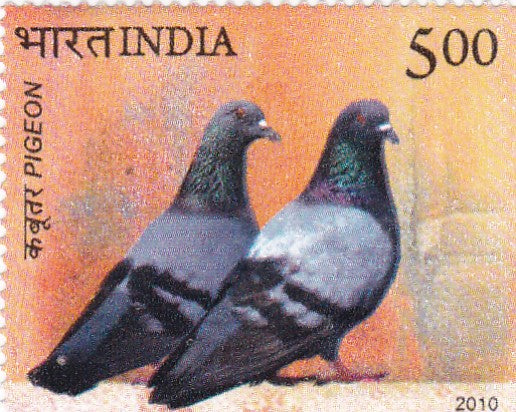 India mint- 09 July'10 Birds of India