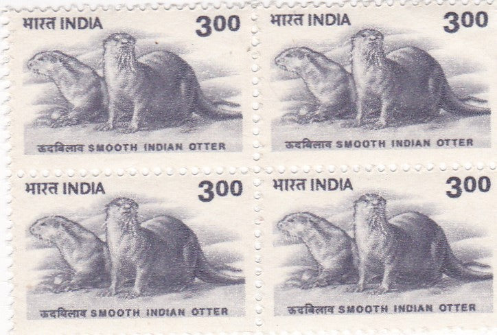 India Definitive-2000  Smooth Indian Otter B4.
