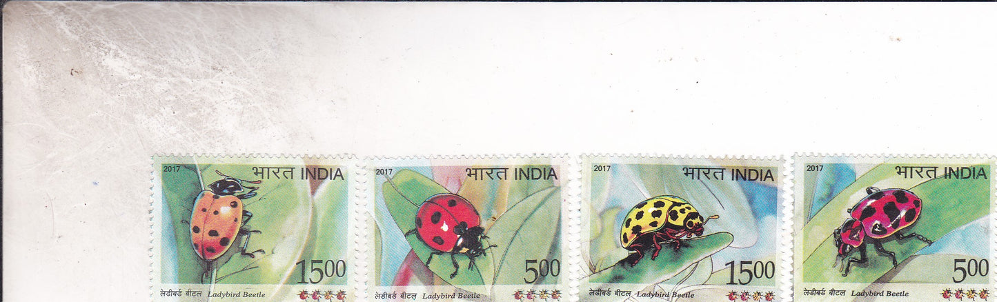 India-Ladybird Beetle 4V Set.