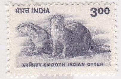 India Mint-Smooth Indian Otter Definitive stamp.