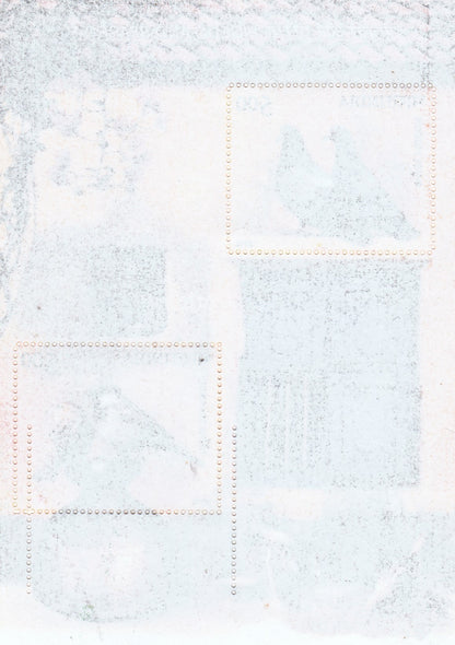 India-2010 Pigeon & Sparrow M/S with error double extra perforation