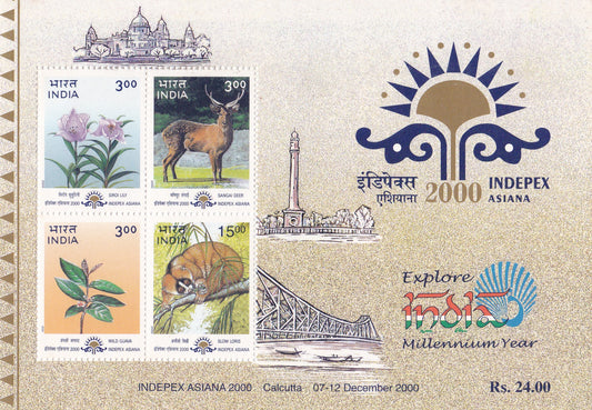 India-2000 Indepex Asiana MS with Printing Error