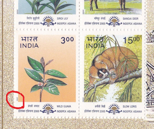 India-2000 Indepex Asiana MS with Printing Error