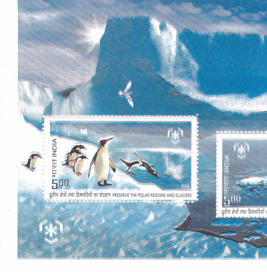 India-2009 -Preserve the Polar regions&glaciers MS error biue color shifted.