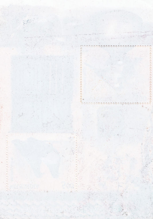 India-2010 Pigeon &Sparrow Imperf MS -Error.