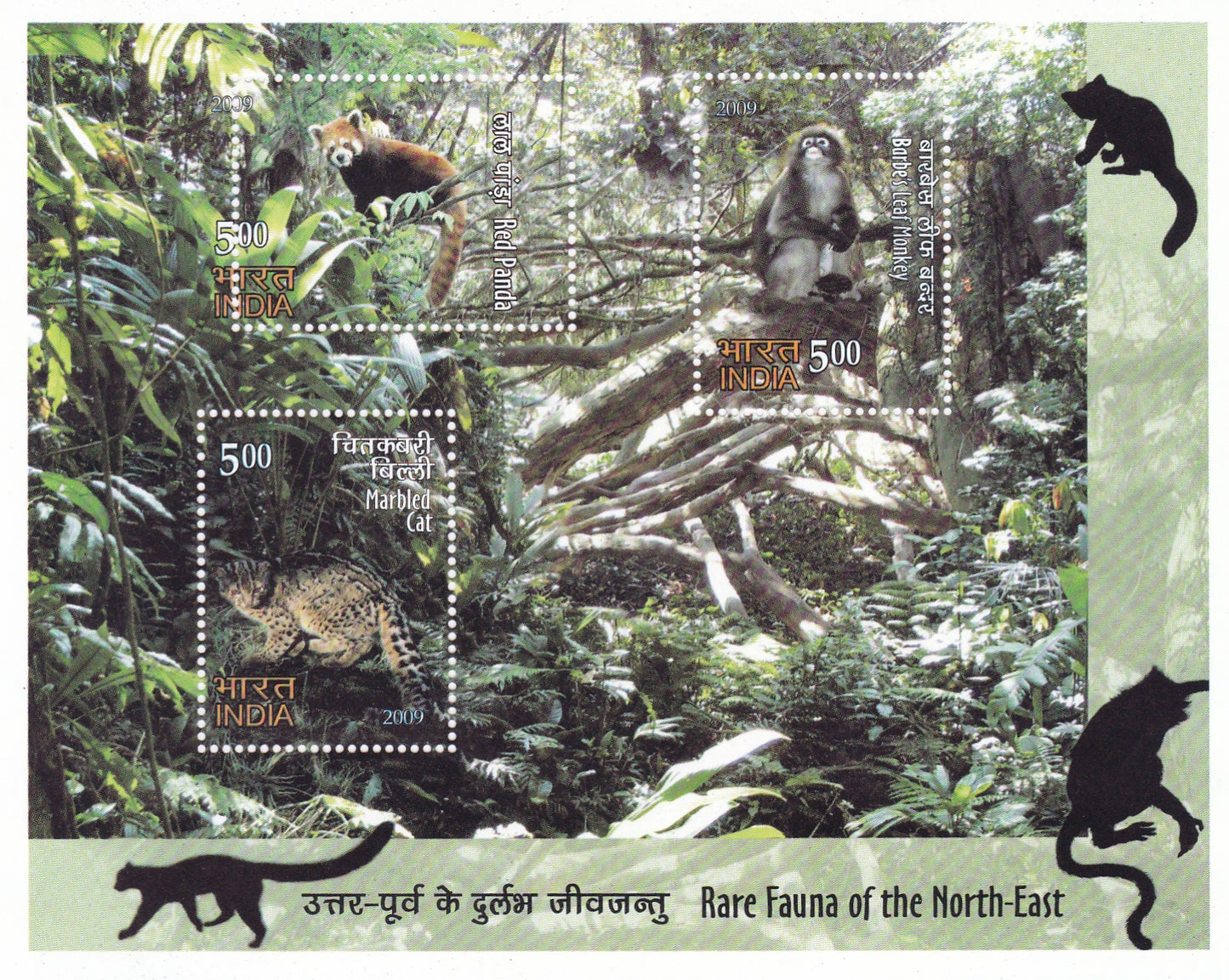 India-2009 Rare fauna of North- East-Perforation Error.