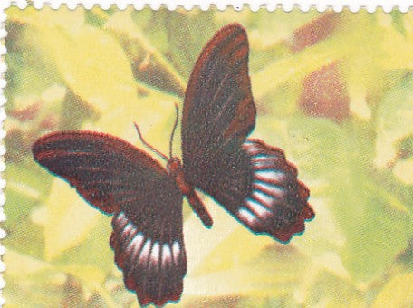 India 2008 Butterfly stamp with major color missing  error.