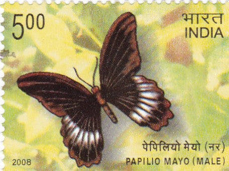 भारत 2008 बटरफ्लाई स्टाम्प में प्रमुख रंग गायब होने की त्रुटि है।